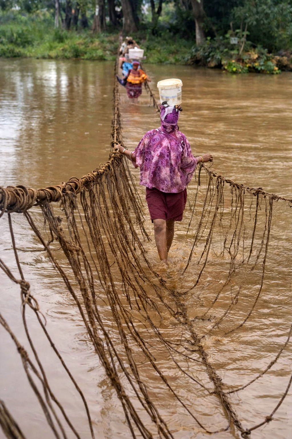 Vine Bridge Timbo-Kegneko